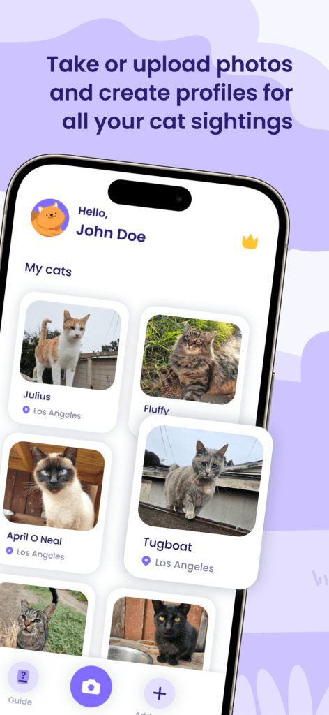 Take cat photos with Whisker Tracker