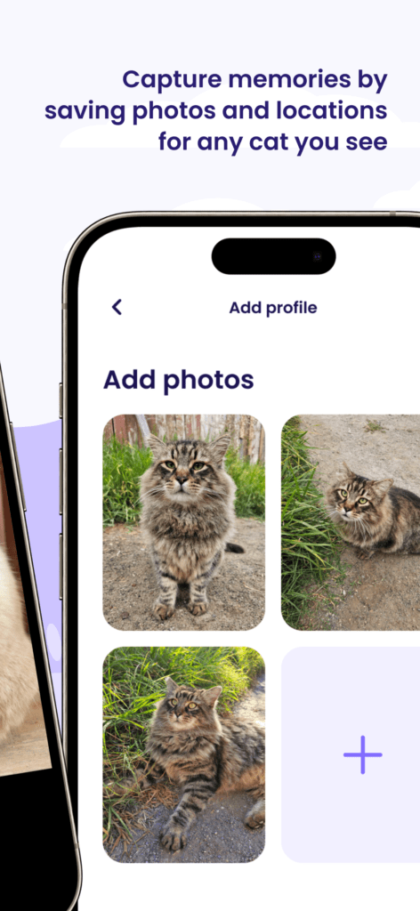 Capture memories with Whisker Tracker