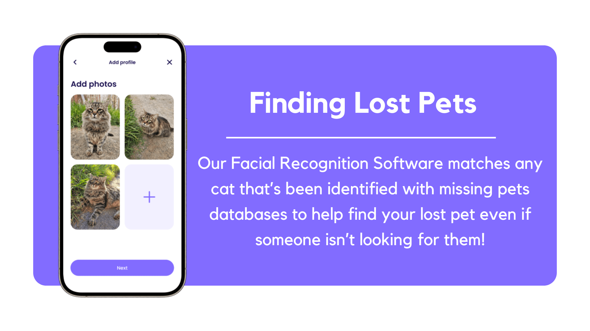 Lost Pets App